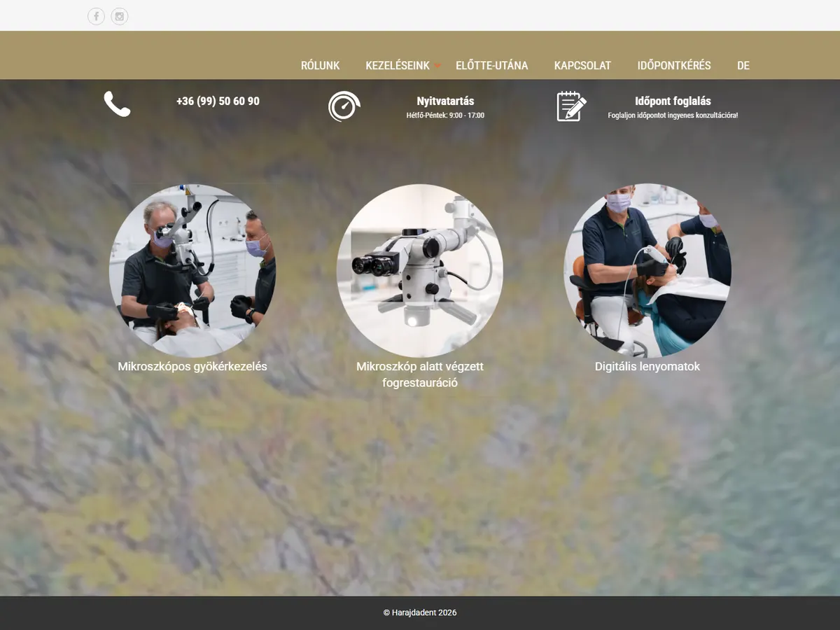 Startseite der alten Website von Harajda Dent: goldene Menüleiste, drei runde Fotos, kein Text, den Google lesen kann